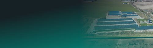 Projekten