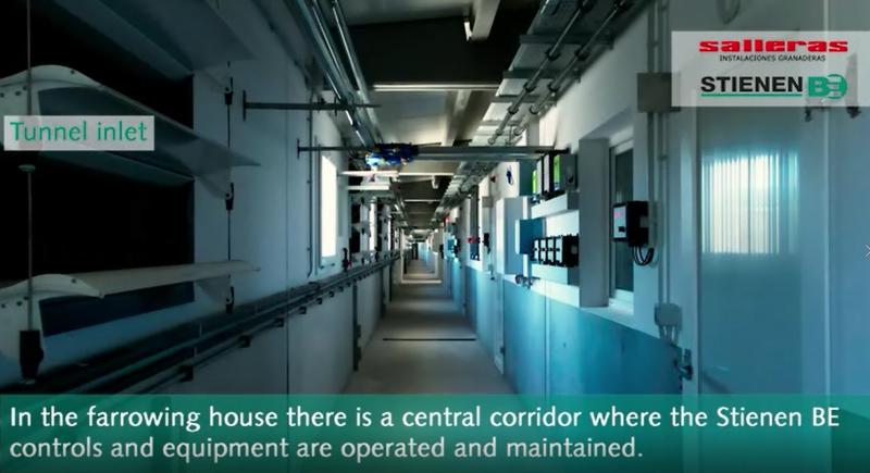 Videorreportaje sobre automatización del clima en granja de cerdas de España - 1