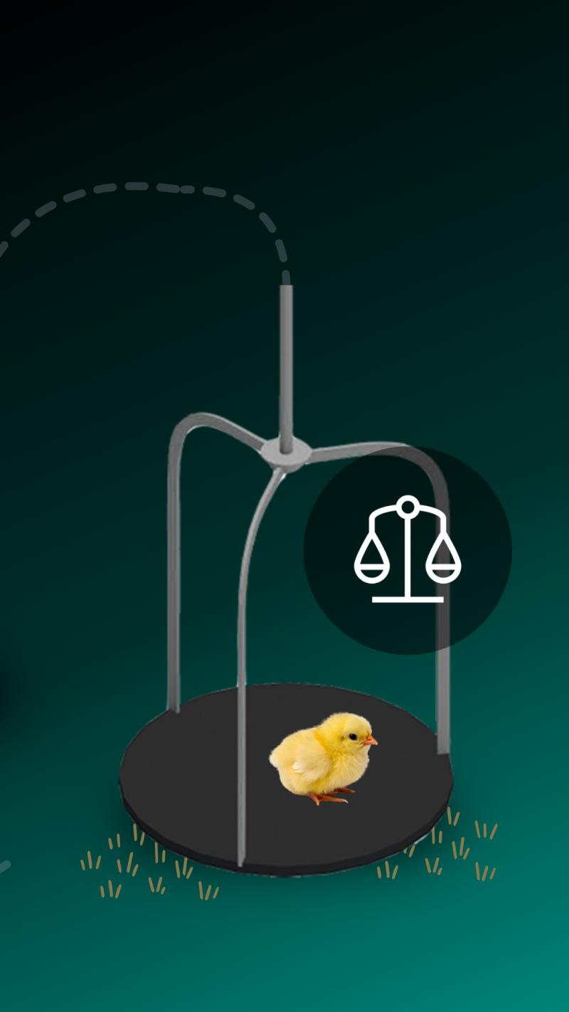 SmartWeigh: automatisch wegen voor hogere efficiëntie - 3