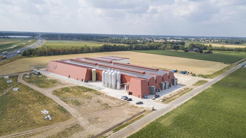 Testimonial Kuijpers Kip  - 1