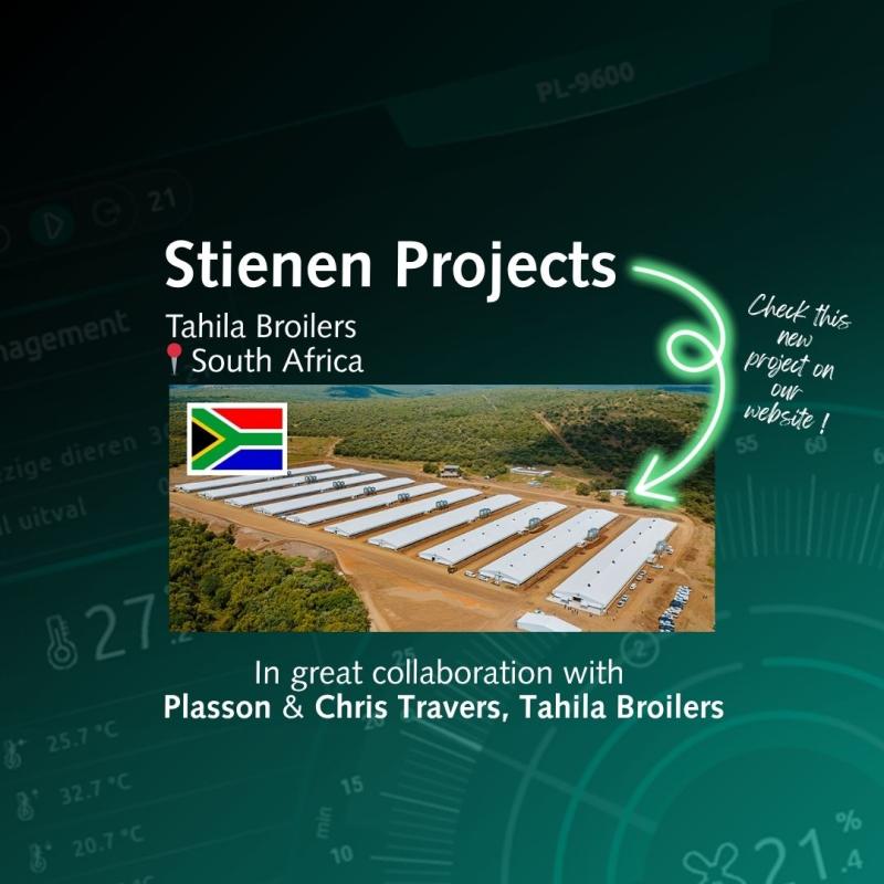 Tahila Broilers Zuid Afrika  - 1