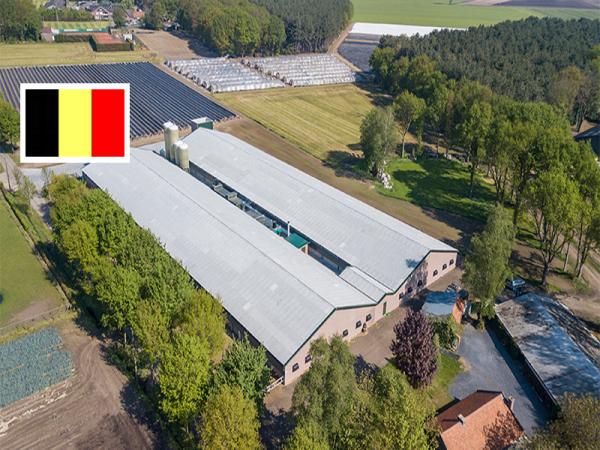 Geflügelfarm Driessen