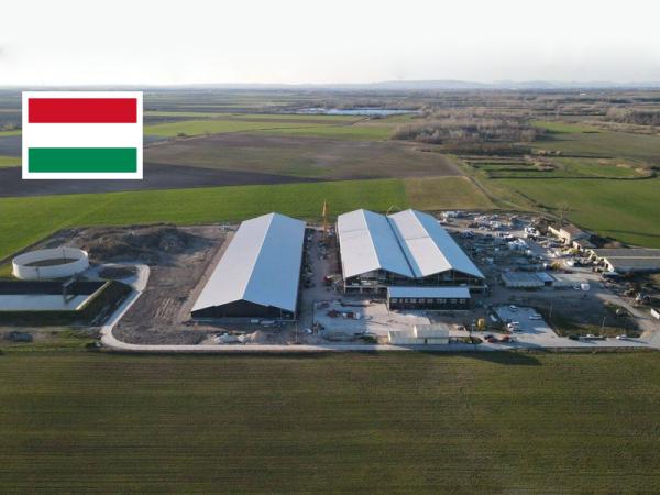 Sauenbetrieb Felsőbabád