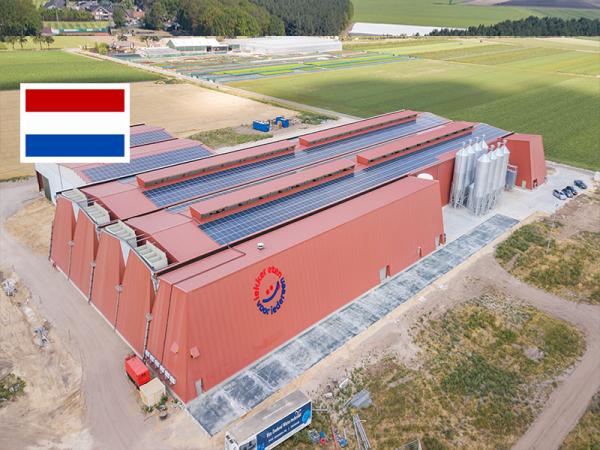 Geflügelstall Kuijpers Kip